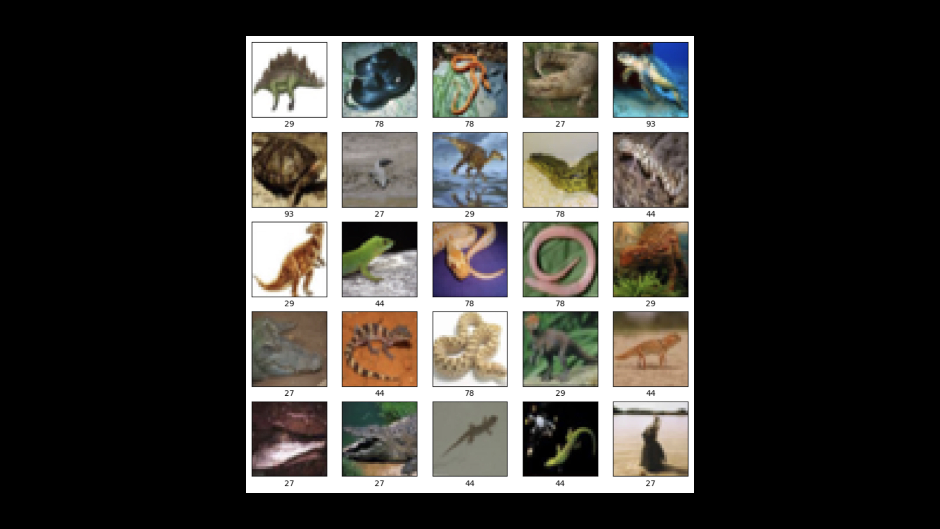 Identifying Reptile Types Using CIFAR-100 Dataset and Supervised Convolutional Neural Networks (CNNs)